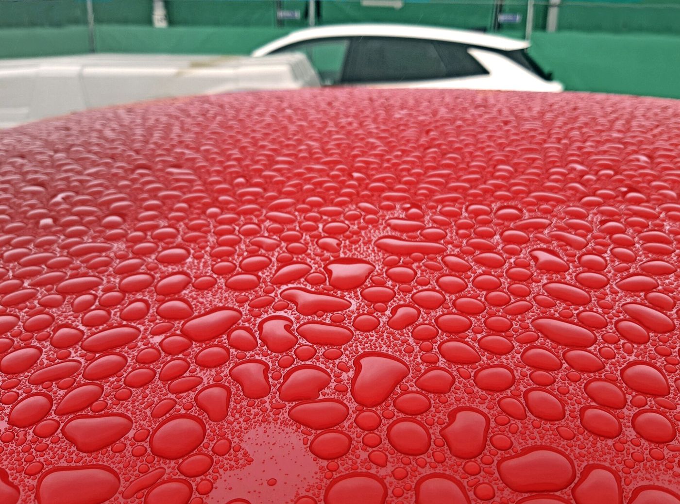 Round water beads standing on a polished red car roof